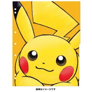 寶可夢卡片收納套－皮卡丘與伊布