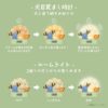 寶可夢中心－寶可夢Sleep系列咩利羊鬧鐘喚醒燈：圖片 8